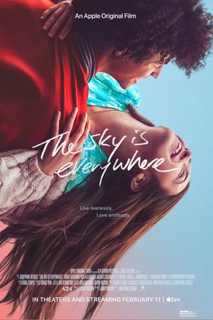 The Sky Is Everywhere's poster