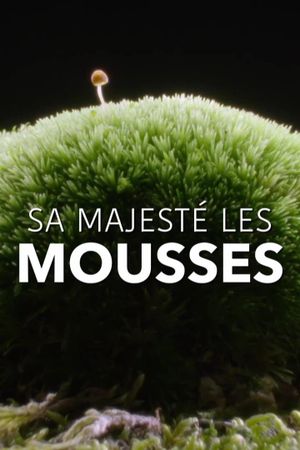 The Magical World of Moss's poster