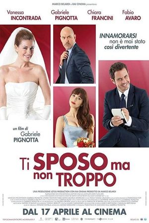 Ti sposo ma non troppo's poster