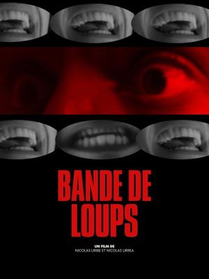 Bande de Loups's poster