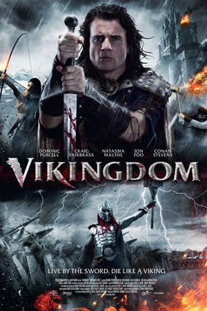 Vikingdom's poster