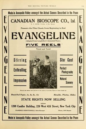 Evangeline's poster