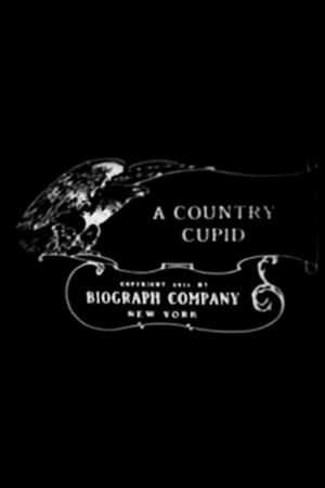 A Country Cupid's poster