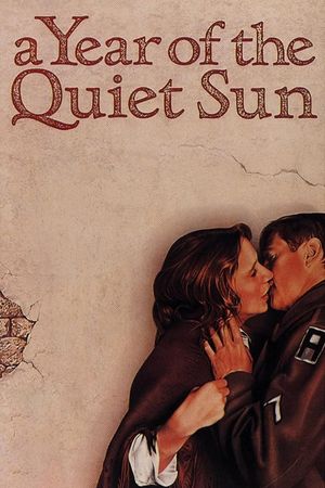 A Year of the Quiet Sun's poster
