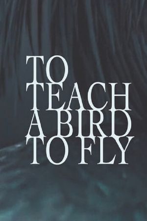 To Teach a Bird to Fly's poster image