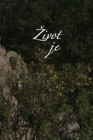 Zivot je's poster