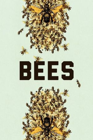 Bees's poster