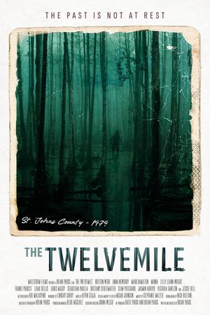 The Twelvemile's poster