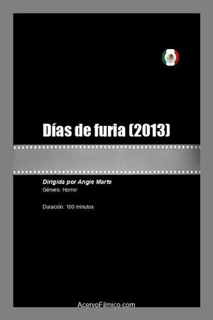 Días de furia's poster