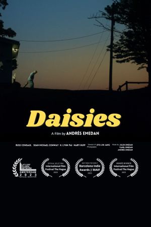 Daisies's poster