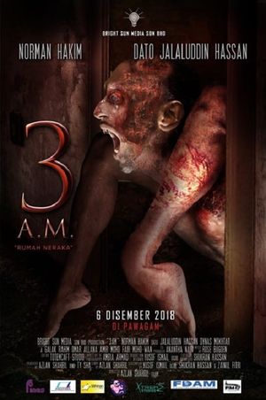 3AM's poster image