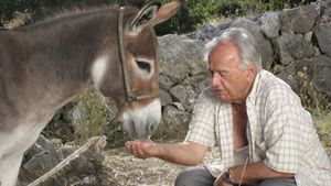 Donkey's poster