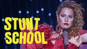 Stunt School's poster