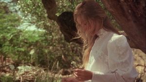 Picnic at Hanging Rock's poster