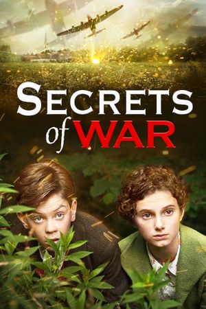 Secrets of War's poster
