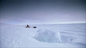 Top Gear: Polar Special's poster