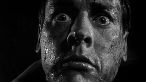 Invasion of the Body Snatchers's poster