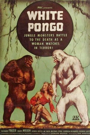 White Pongo's poster