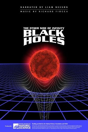 Black Holes: The Other Side of Infinity's poster