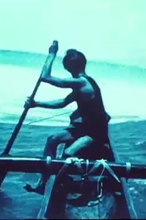 Hawaii: The Paradise of the Pacific's poster