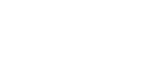Eye of the Storm's poster