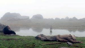 The Gold-Laden Sheep and the Sacred Mountain's poster