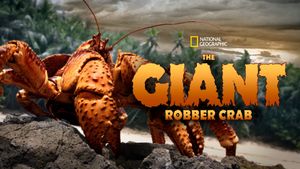 The Giant Robber Crab's poster