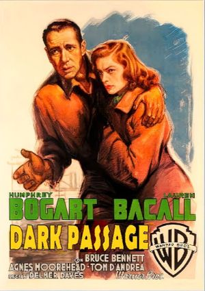 Dark Passage's poster