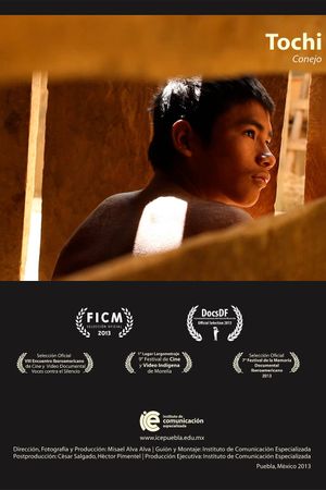 Rabbit's poster image