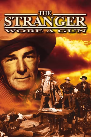 The Stranger Wore a Gun's poster