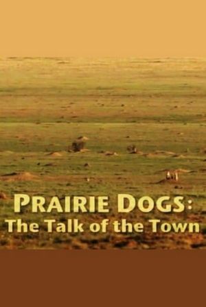 Prairie Dogs: Talk of the Town's poster