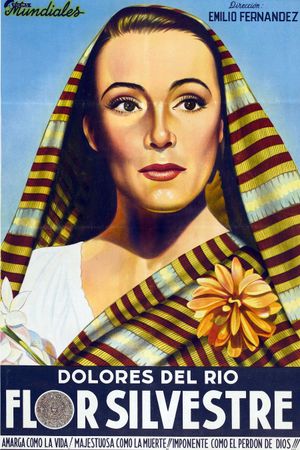 Wild Flower's poster