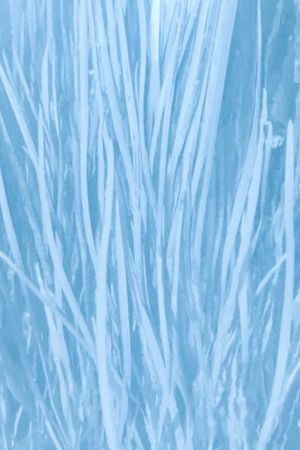 Our Watery Selves's poster