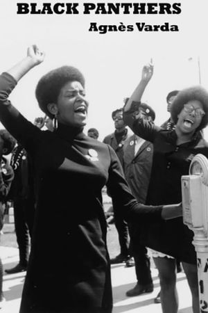Black Panthers's poster