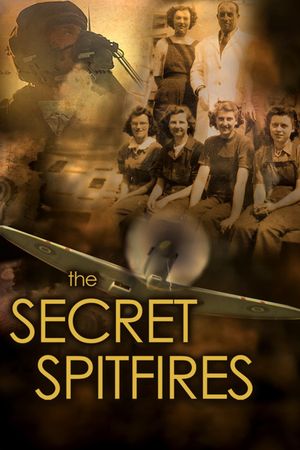 The Secret Spitfires's poster