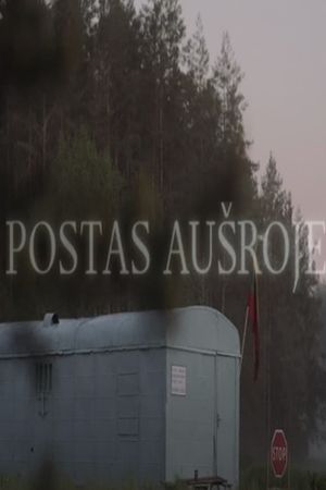 Postas aušroje's poster image