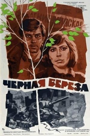 Black Birch's poster