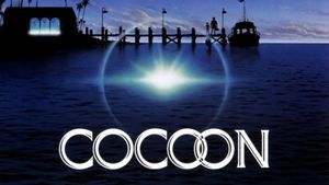 Cocoon's poster