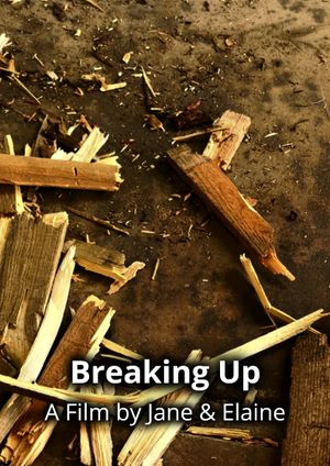 Breaking Up's poster image