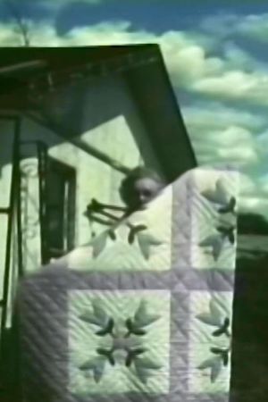 Old Fashion Waltz's poster