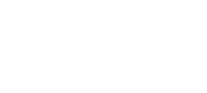 Run for the Sun's poster