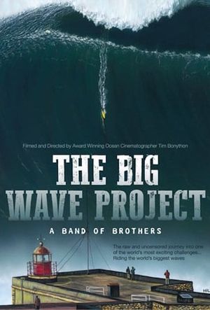 The Big Wave Project's poster