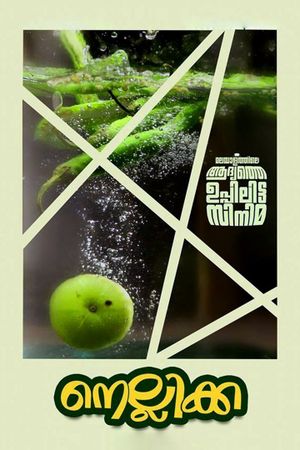Nellikka's poster