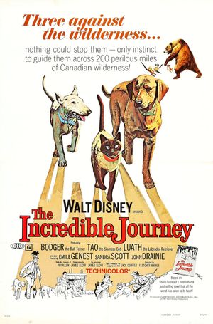 The Incredible Journey's poster