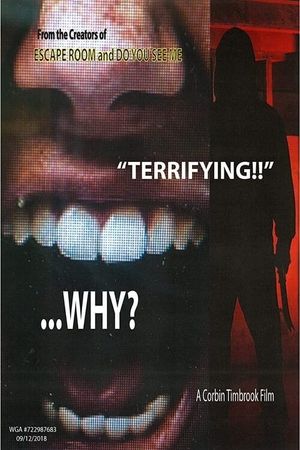 Why?'s poster