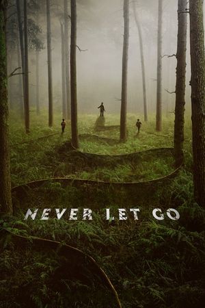 Never Let Go's poster