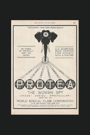 Protéa's poster
