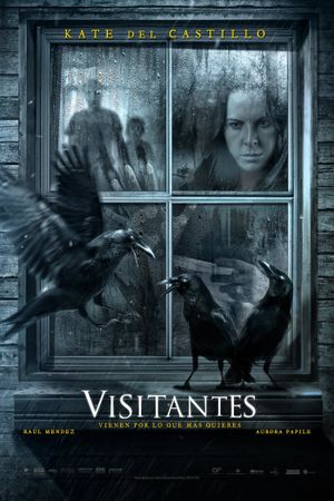 Visitantes's poster