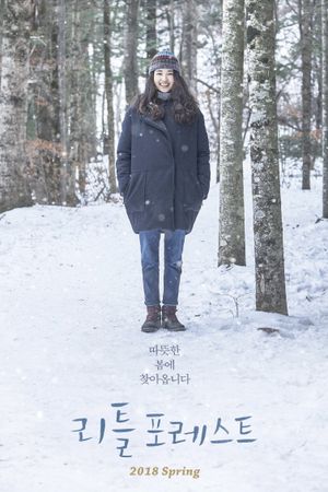 Little Forest's poster