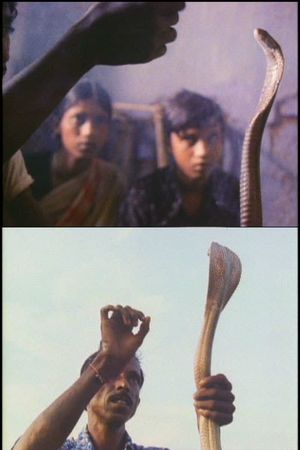 Serpent Mother's poster